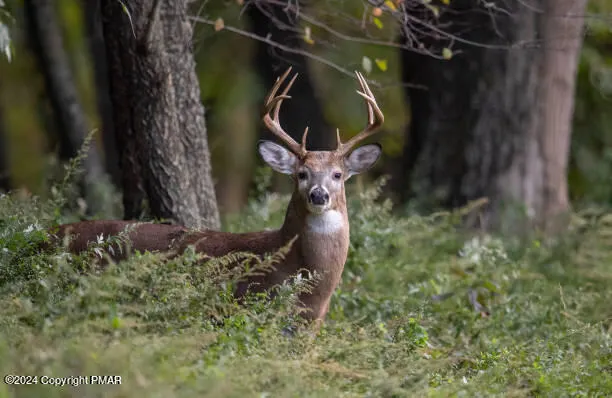 a bird view of water heater room