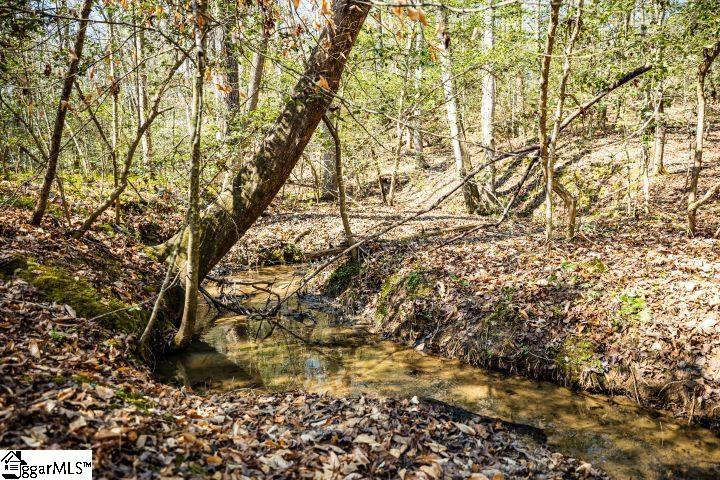 0 Marys Mountain Road Easley, SC 29640 - Photo 4 of 6