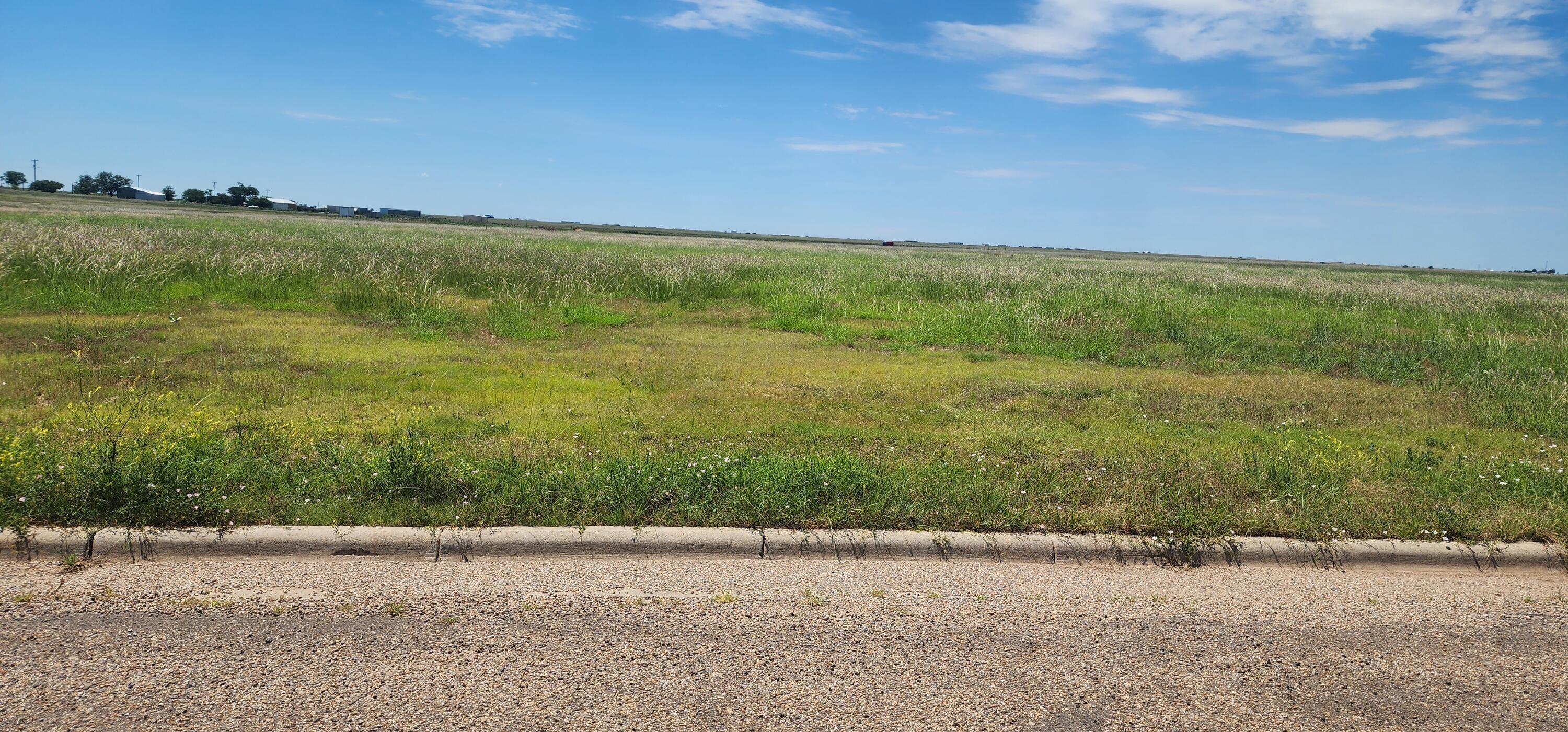 11100 Andretti Drive Amarillo, TX 79118 - Photo 4 of 5 Lot