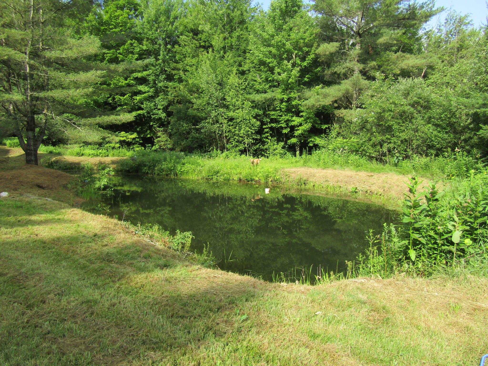 903 Witchcat Road Bakersfield, VT 05450 - Photo 9 of 60 Gallery Image 9