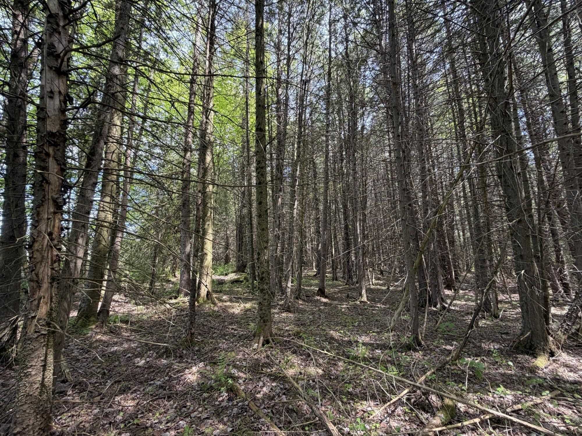 2278 Valley Road Holland, VT 05830 - Photo 5 of 17