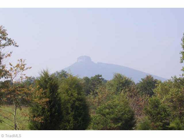 Lot 3 Volunteer Ridge Pinnacle, NC 27043 - Photo 2 of 9 Other.