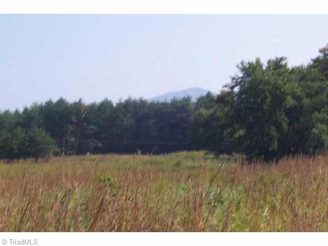 Lot 3 Volunteer Ridge Pinnacle, NC 27043 - Photo 3 of 9 Other.