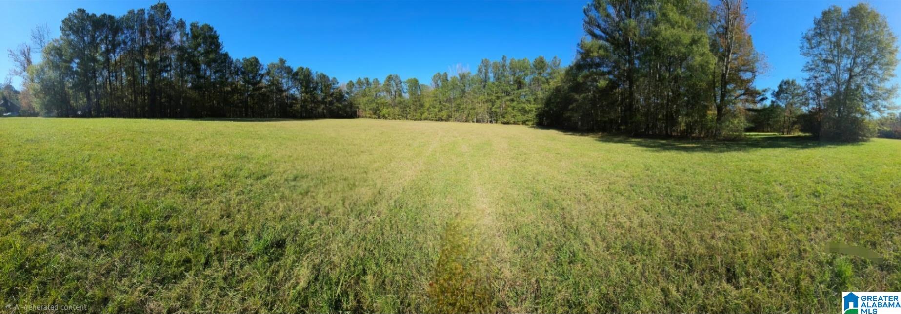 0 Hall Burton Road, Unit 1 Sumiton, AL 35148 - Photo 8 of 10