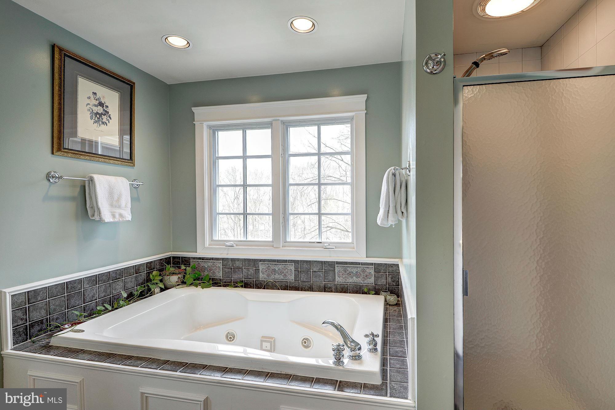 2645 Marcey Road Arlington, VA 22207 - Photo 21 of 30 Bath (Master)