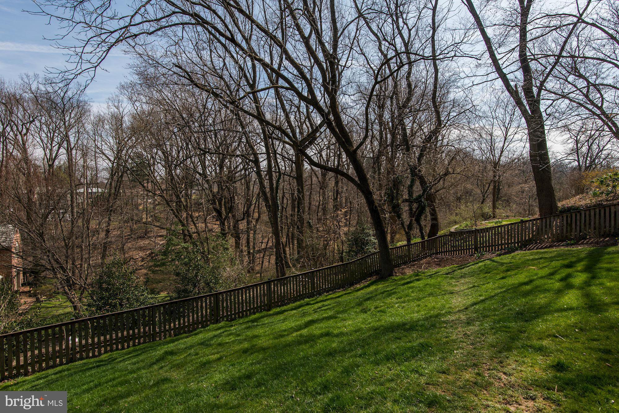 2645 Marcey Road Arlington, VA 22207 - Photo 29 of 30 Parkland view from home