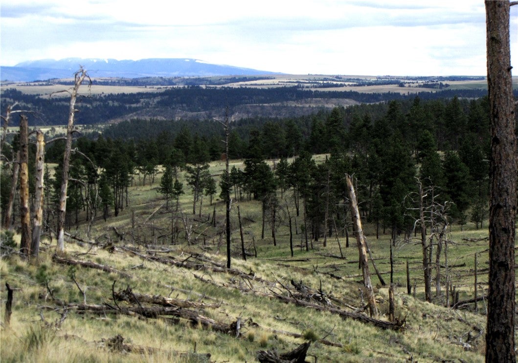 Nhn Nhn Wild Turkey Ridge Road Columbus, MT 59019 - Photo 10 of 47 Gallery Image 10