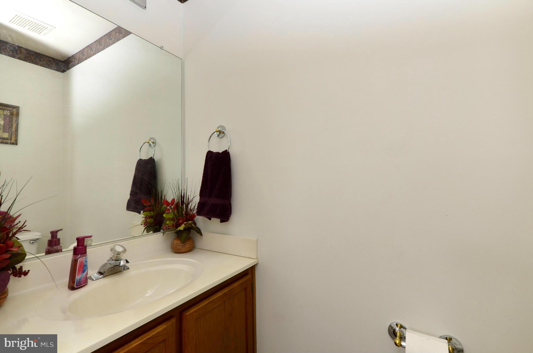 4462 Silver Teal Road Baltimore, MD 21236 - Photo 12 of 30 a bathroom with a sink and a mirror