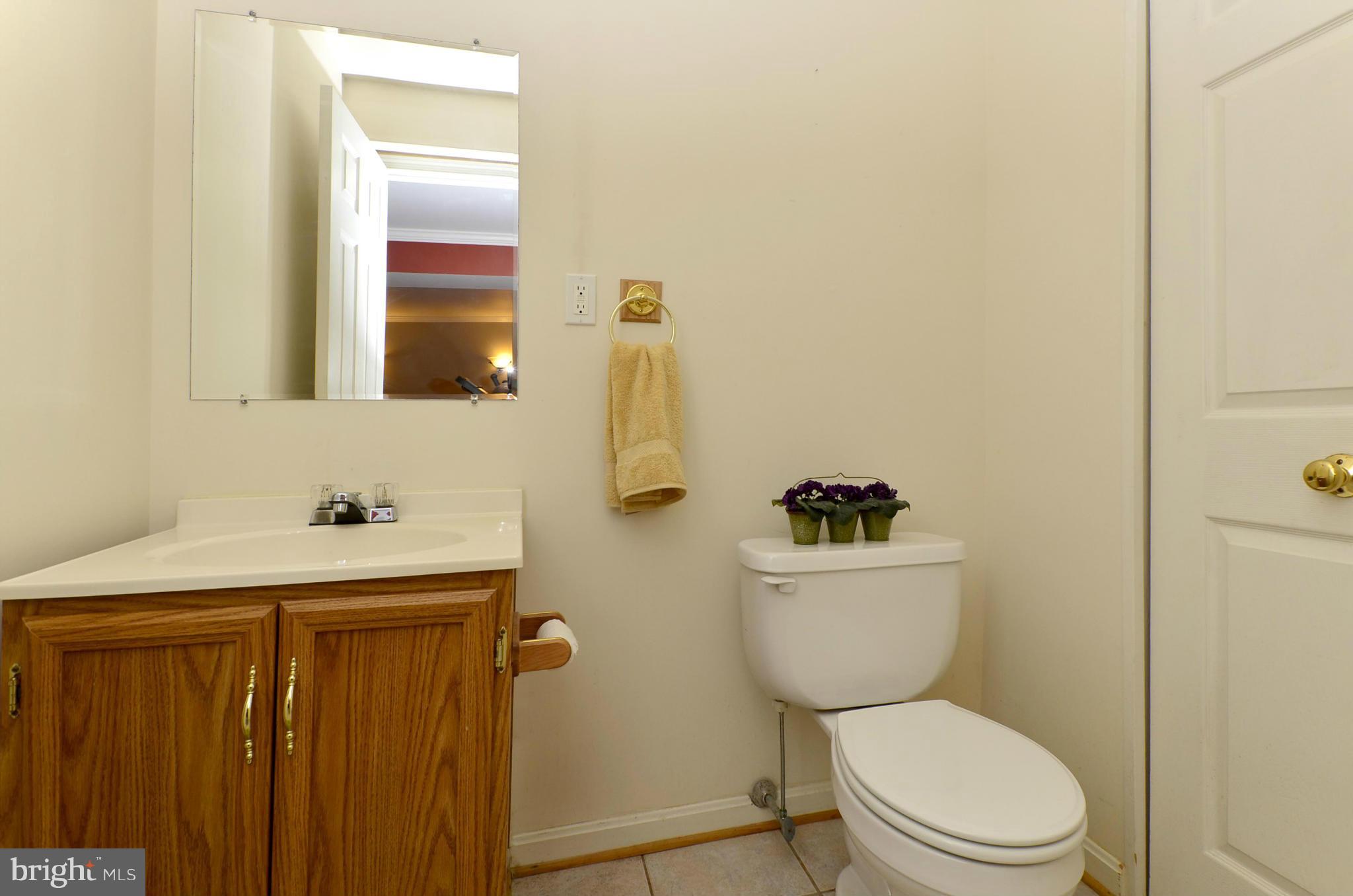 4462 Silver Teal Road Baltimore, MD 21236 - Photo 14 of 30 a bathroom with a toilet a sink and mirror