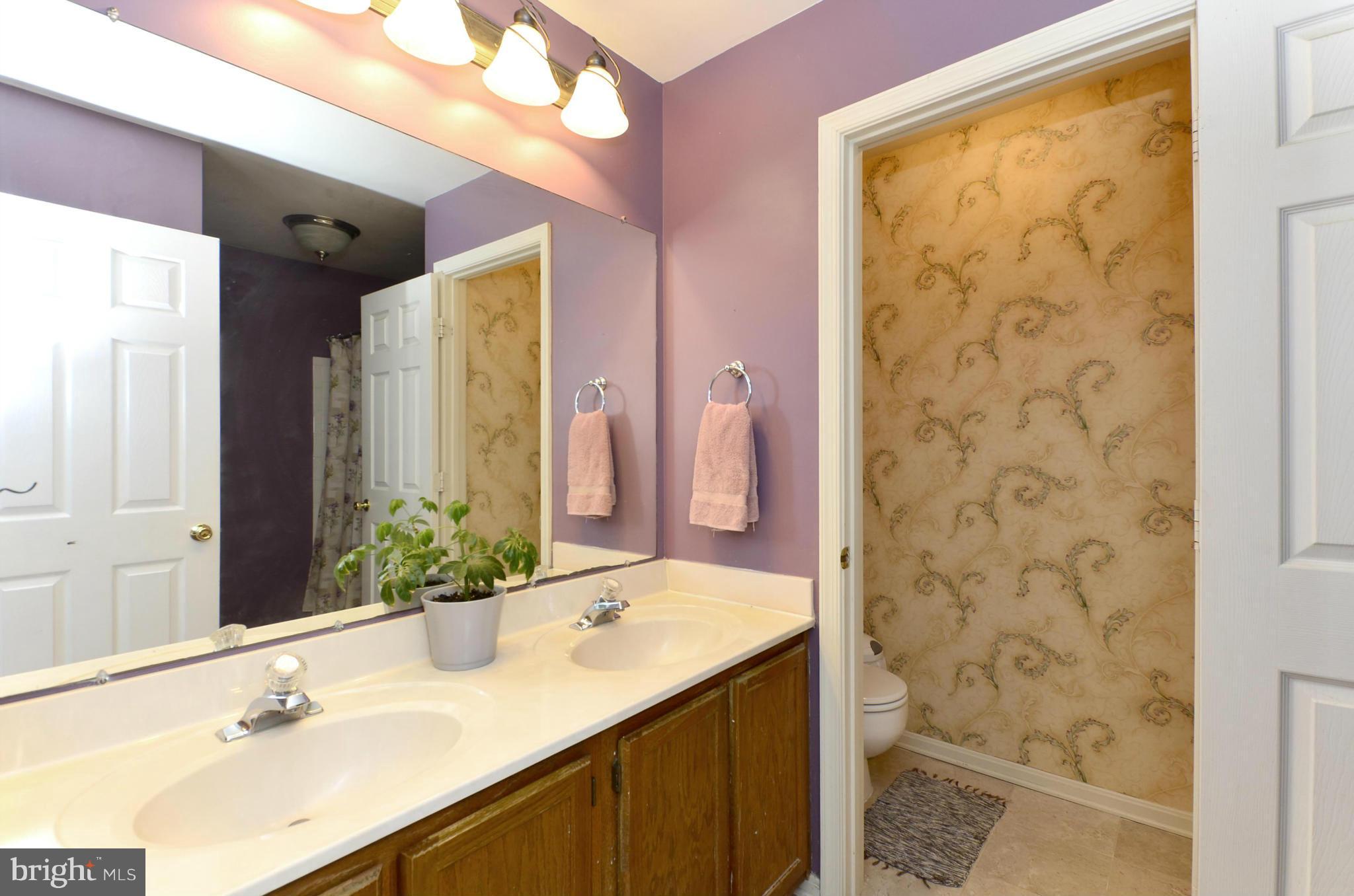 4462 Silver Teal Road Baltimore, MD 21236 - Photo 19 of 30 a bathroom with a sink and a mirror