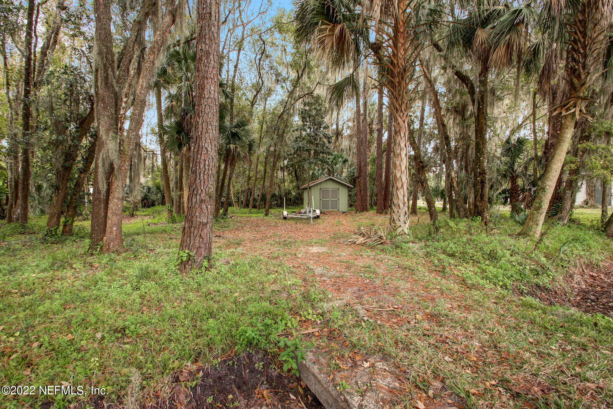 134 Riverside Drive Satsuma, FL 32189 - Photo 40 of 43 41-web-or-mls-IMG_3512_3_4_5_6_7_8