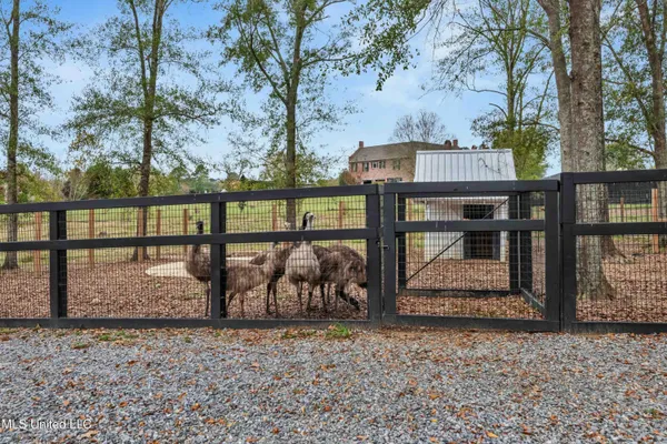 $3,999,950 | 282 Ralph Rawls Road, Hattiesburg, MS 39402