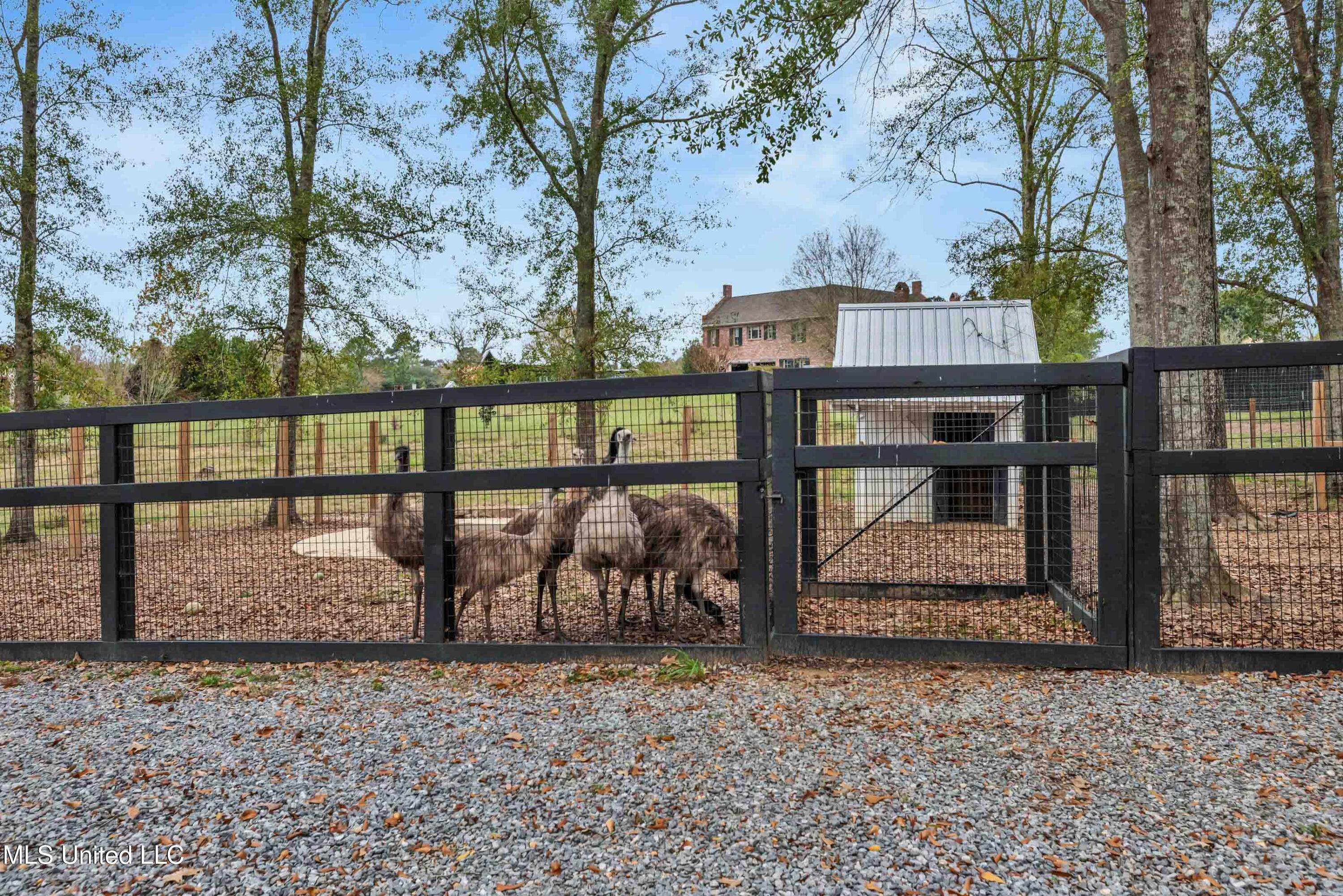 282 Ralph Rawls Road Hattiesburg, MS 39402 - Photo 70 of 97 photo_online_070