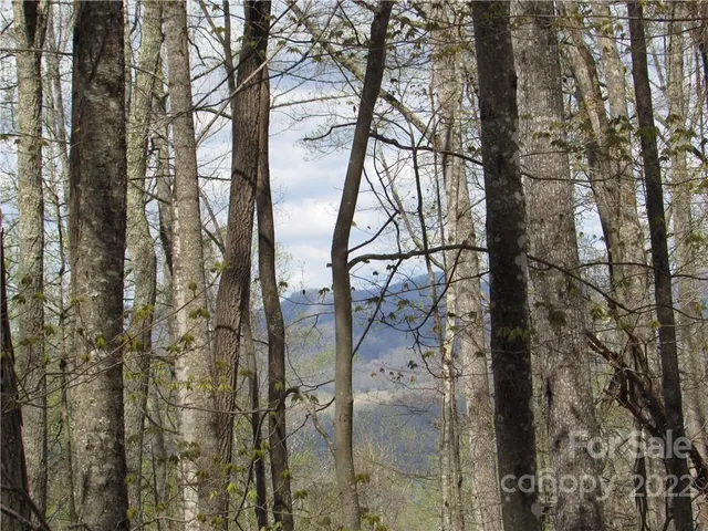 $680,500 | Multiple Lots Multiple Lots Red Wolf Run, Unit NONE, Mars Hill, NC 28754