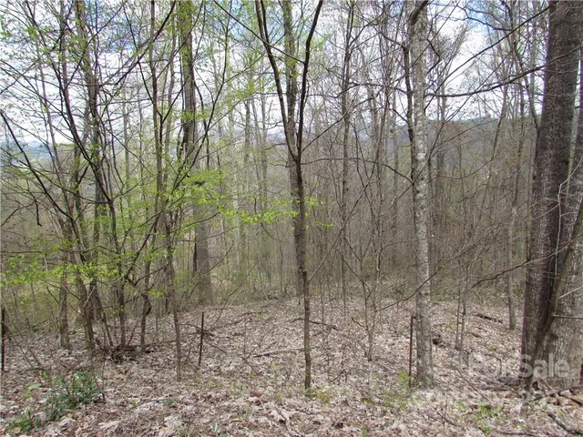 $680,500 | Multiple Lots Multiple Lots Red Wolf Run, Unit NONE, Mars Hill, NC 28754