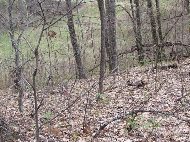 $680,500 | Multiple Lots Multiple Lots Red Wolf Run, Unit NONE, Mars Hill, NC 28754