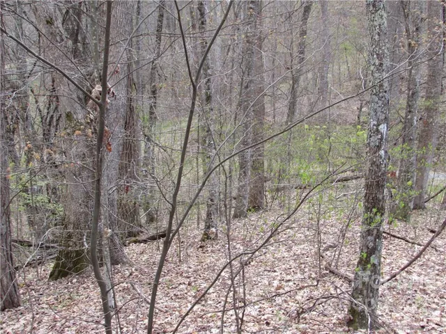 $680,500 | Multiple Lots Multiple Lots Red Wolf Run, Unit NONE, Mars Hill, NC 28754