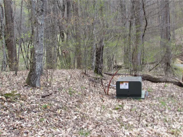 $680,500 | Multiple Lots Multiple Lots Red Wolf Run, Unit NONE, Mars Hill, NC 28754