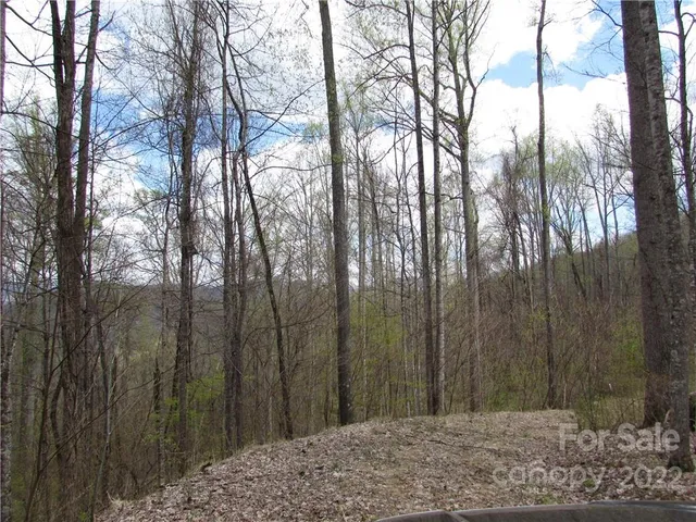 $680,500 | Multiple Lots Multiple Lots Red Wolf Run, Unit NONE, Mars Hill, NC 28754
