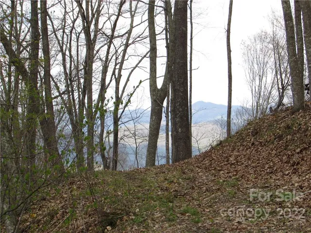 $680,500 | Multiple Lots Multiple Lots Red Wolf Run, Unit NONE, Mars Hill, NC 28754