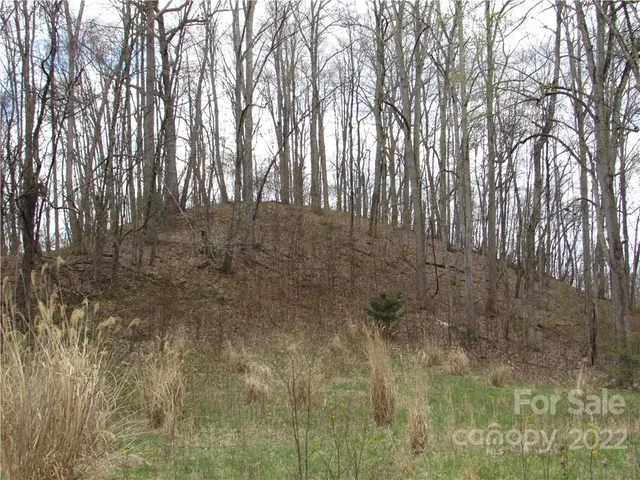 $680,500 | Multiple Lots Multiple Lots Red Wolf Run, Unit NONE, Mars Hill, NC 28754