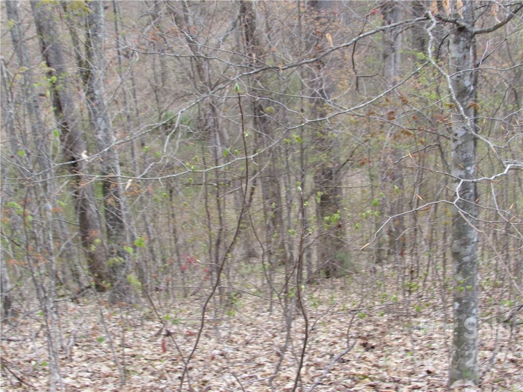 Multiple Lots Multiple Lots Red Wolf Run, Unit NONE Mars Hill, NC 28754 - Photo 21 of 30