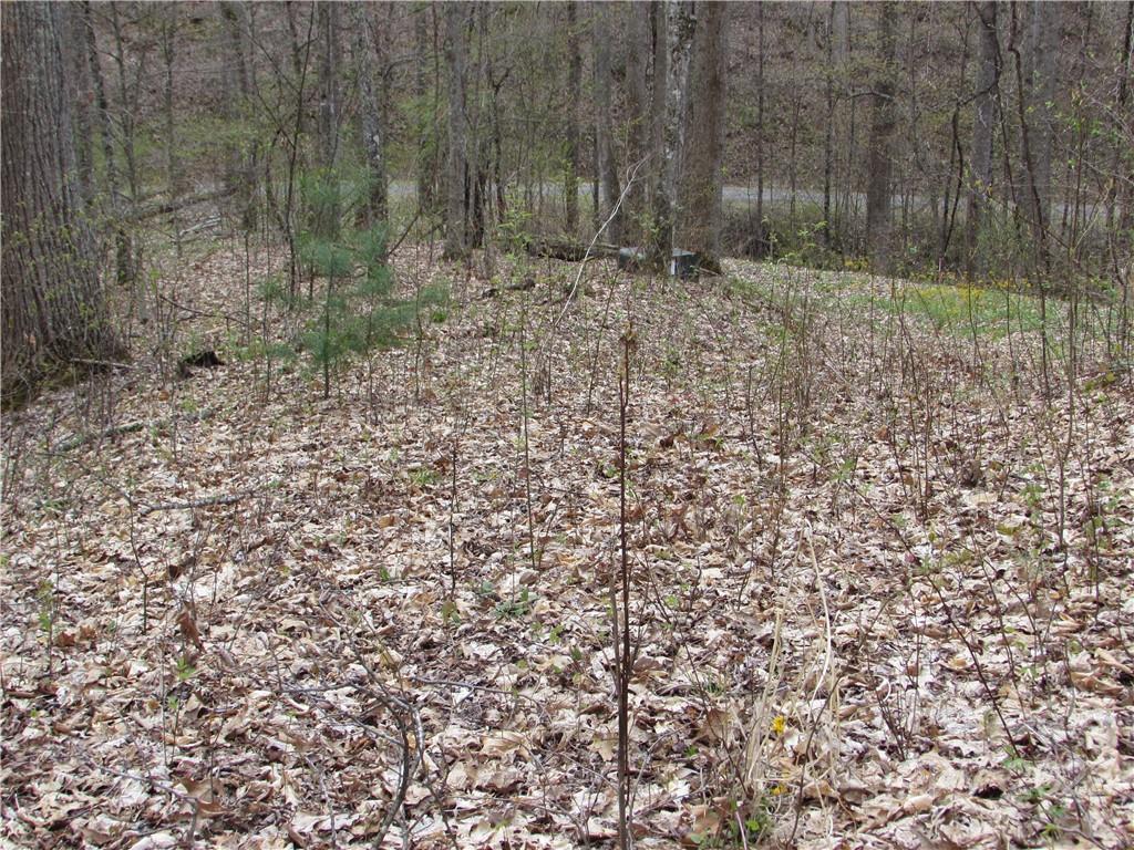 Multiple Lots Multiple Lots Red Wolf Run, Unit NONE Mars Hill, NC 28754 - Photo 22 of 30