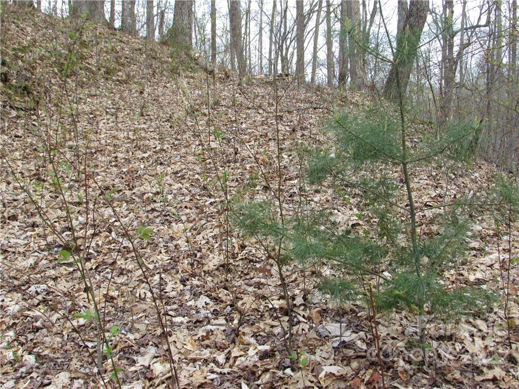 Multiple Lots Multiple Lots Red Wolf Run, Unit NONE Mars Hill, NC 28754 - Photo 23 of 30