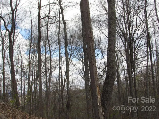 $680,500 | Multiple Lots Multiple Lots Red Wolf Run, Unit NONE, Mars Hill, NC 28754