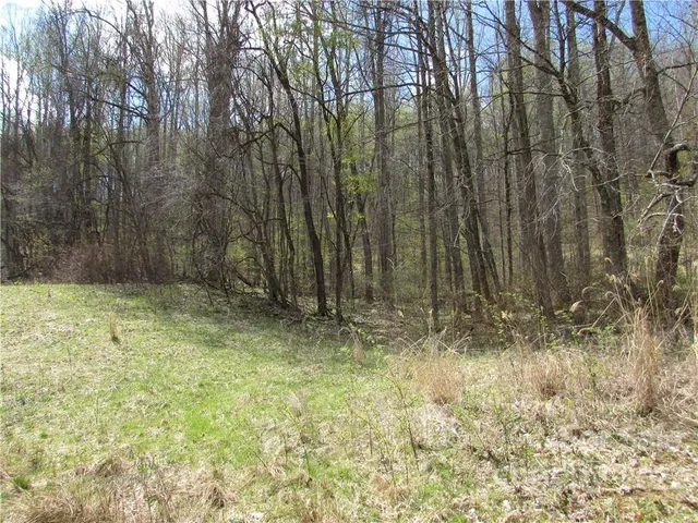 $680,500 | Multiple Lots Multiple Lots Red Wolf Run, Unit NONE, Mars Hill, NC 28754