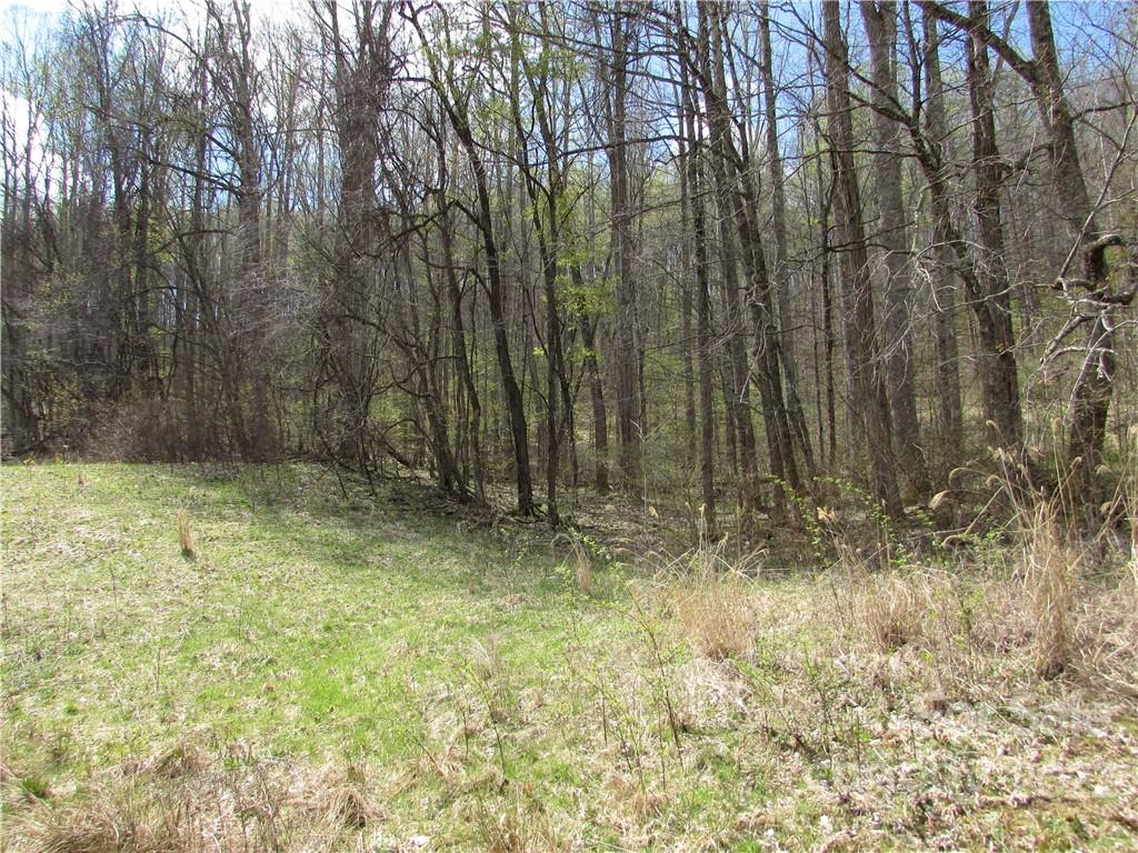 Multiple Lots Multiple Lots Red Wolf Run, Unit NONE Mars Hill, NC 28754 - Photo 25 of 30
