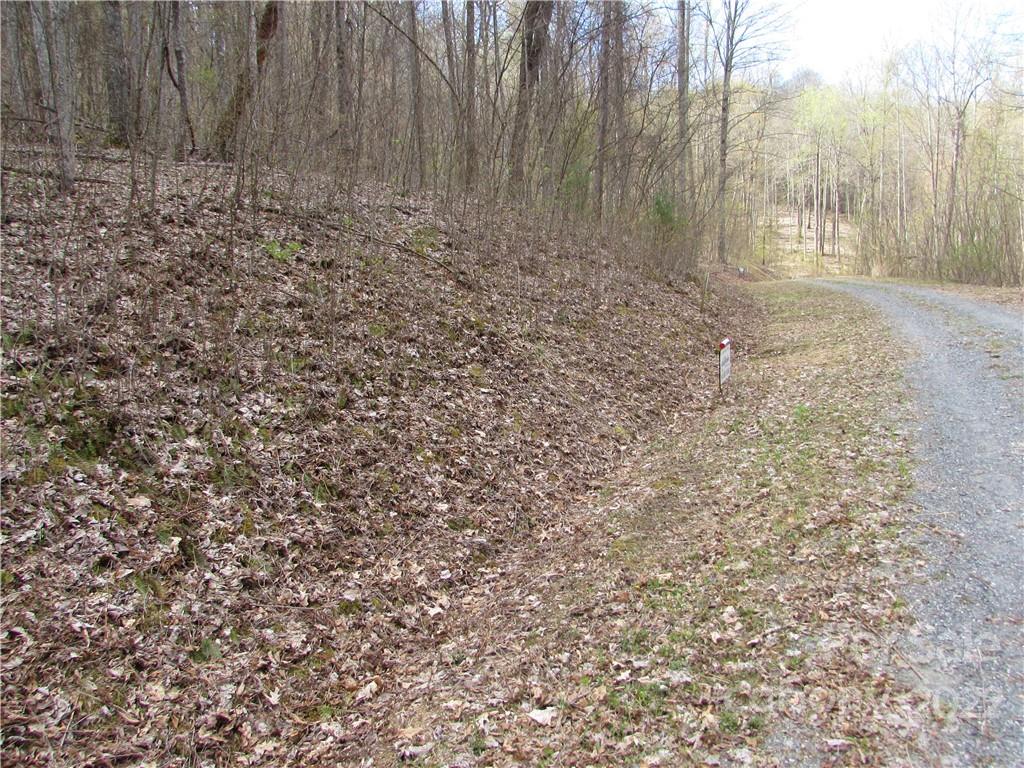 Multiple Lots Multiple Lots Red Wolf Run, Unit NONE Mars Hill, NC 28754 - Photo 27 of 30