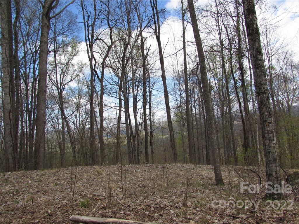 Multiple Lots Multiple Lots Red Wolf Run, Unit NONE Mars Hill, NC 28754 - Photo 28 of 30