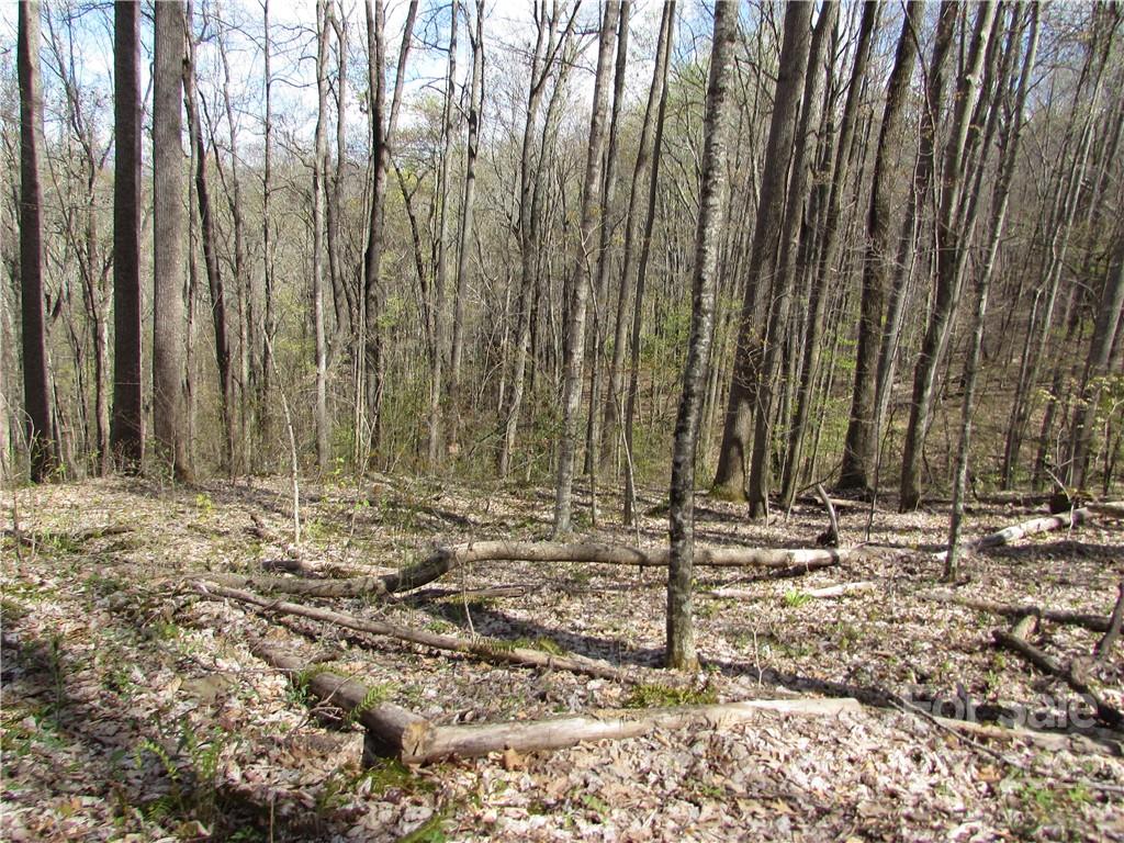 Multiple Lots Multiple Lots Red Wolf Run, Unit NONE Mars Hill, NC 28754 - Photo 29 of 30