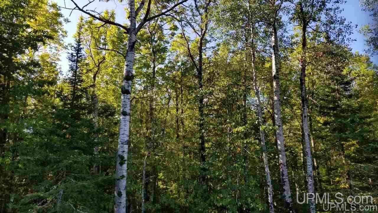 Tbd Idlewild Road Crystal Falls, MI 49920 - Photo 3 of 13