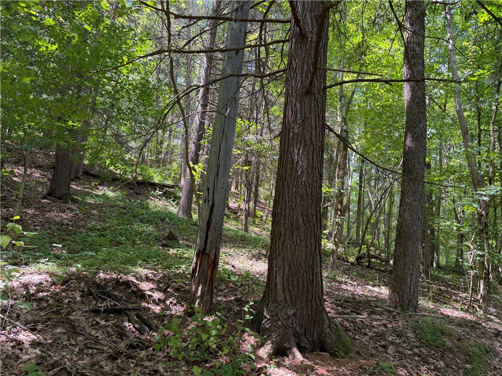 Vl Catatunk Road, Unit R Canisteo, NY 14823 - Photo 37 of 50