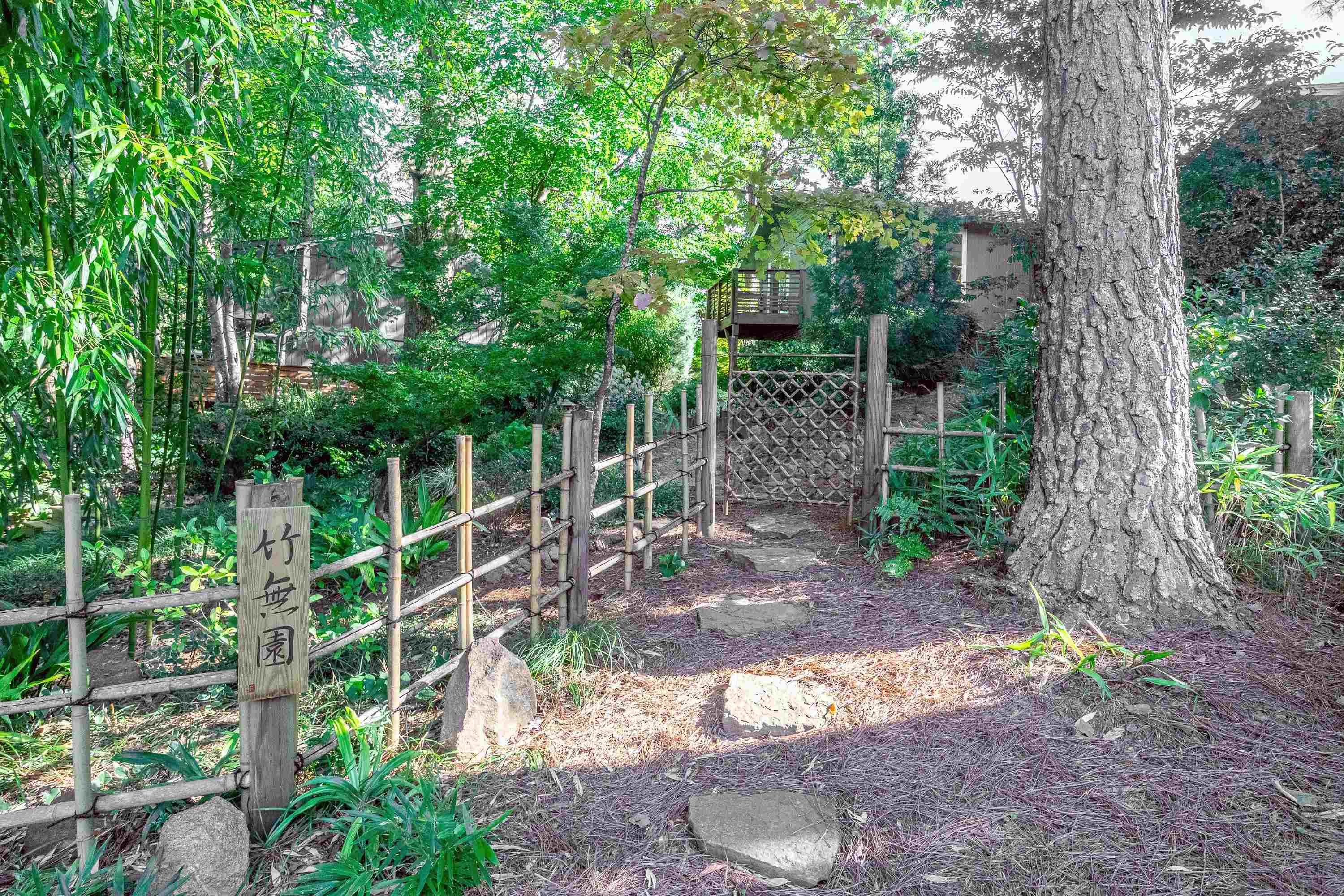 2729 Rue Sans Famille Raleigh, NC 27607 - Photo 27 of 39 Photo 27