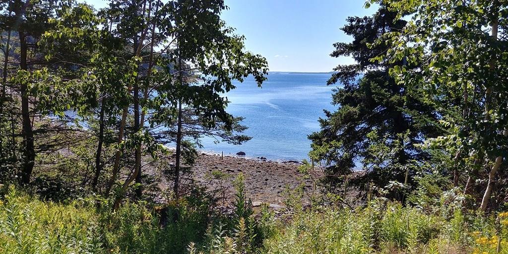 10 Point Road Harborside, ME 04642 - Photo 9 of 22 Photo