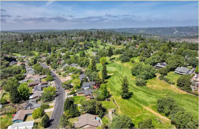 a view of a bunch of trees and bushes