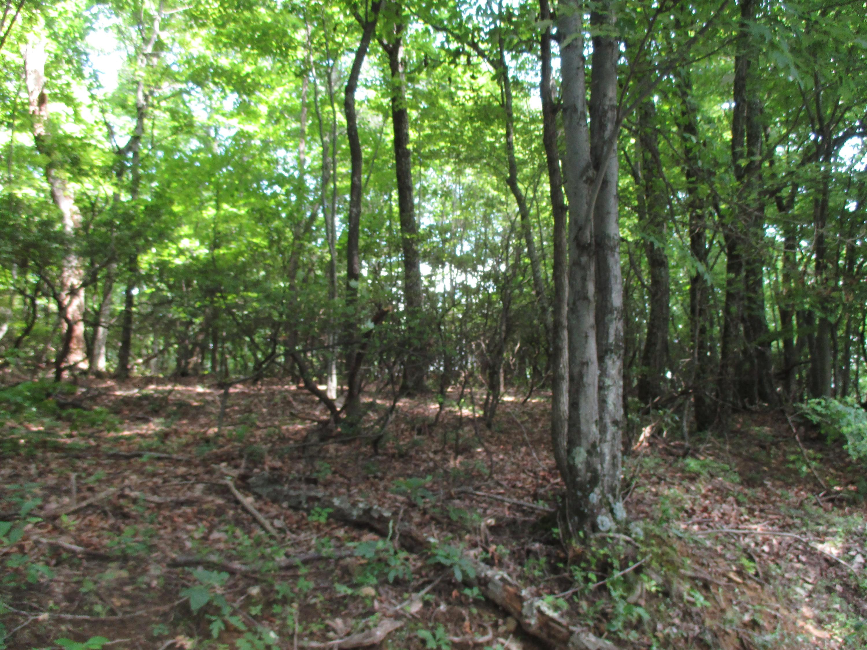 Lot 3 Fosters Knob Road Blue Ridge, VA 24064 - Photo 2 of 7 2