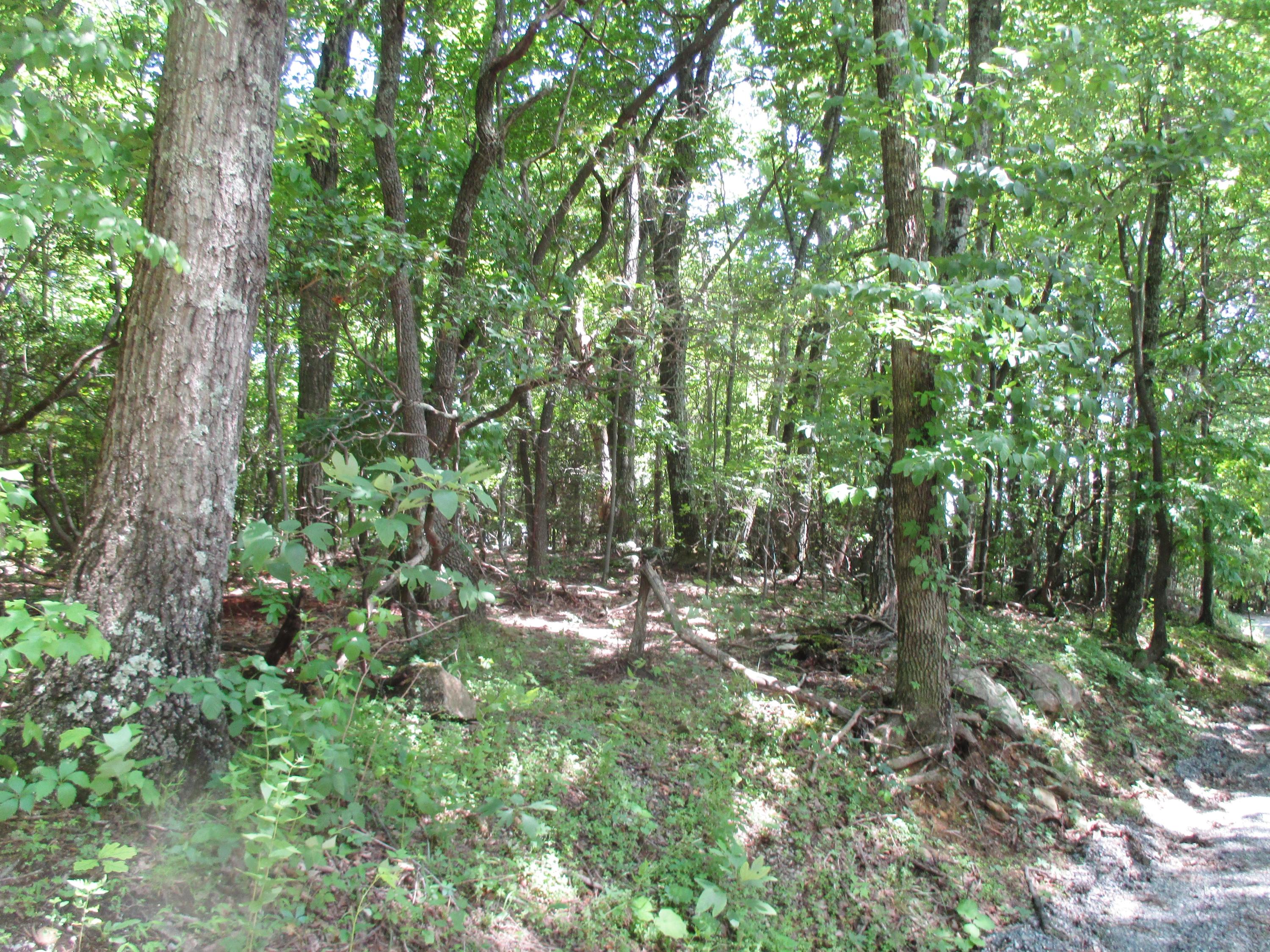 Lot 3 Fosters Knob Road Blue Ridge, VA 24064 - Photo 4 of 7 4