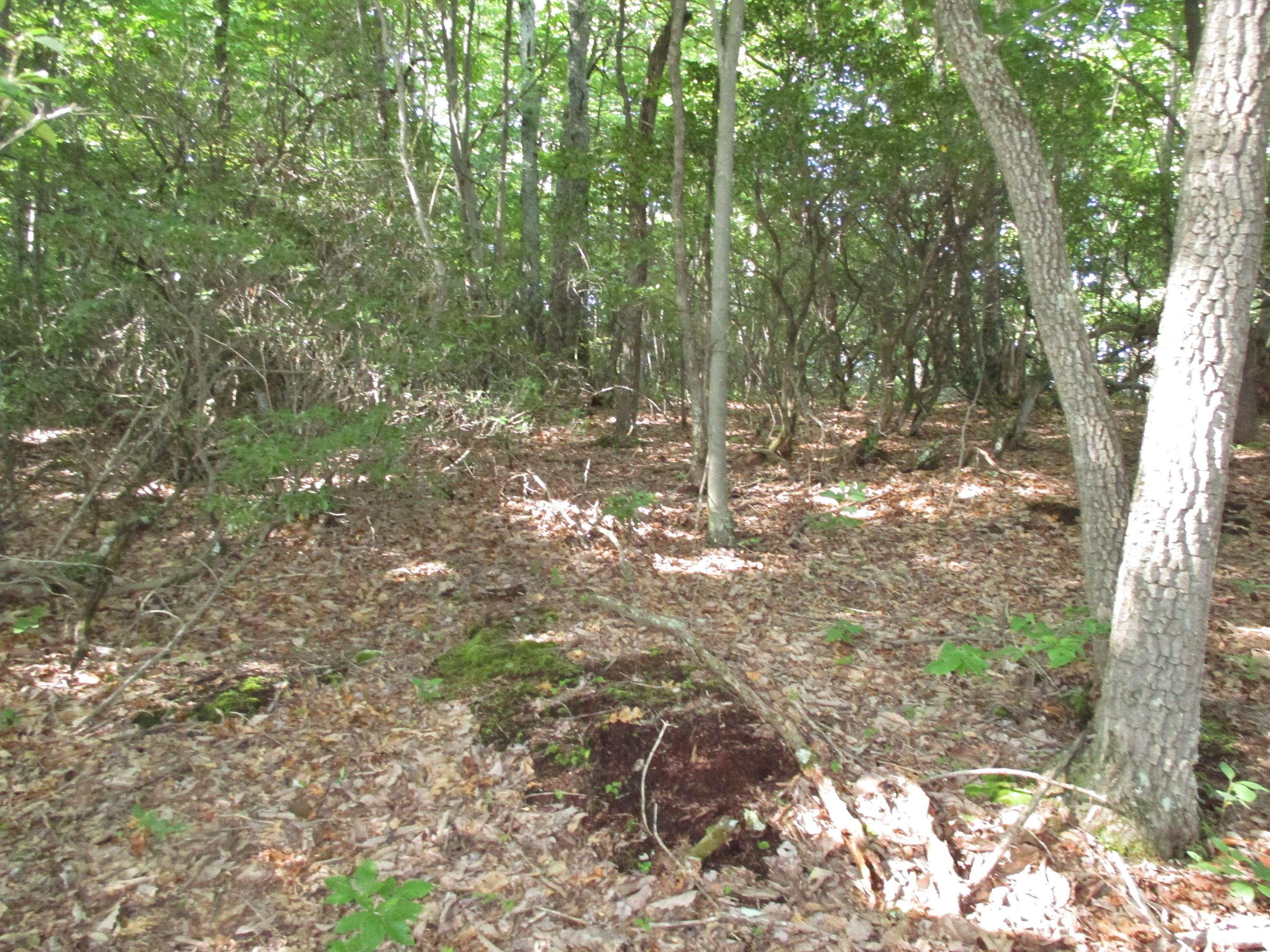 Lot 3 Fosters Knob Road Blue Ridge, VA 24064 - Photo 5 of 7 6