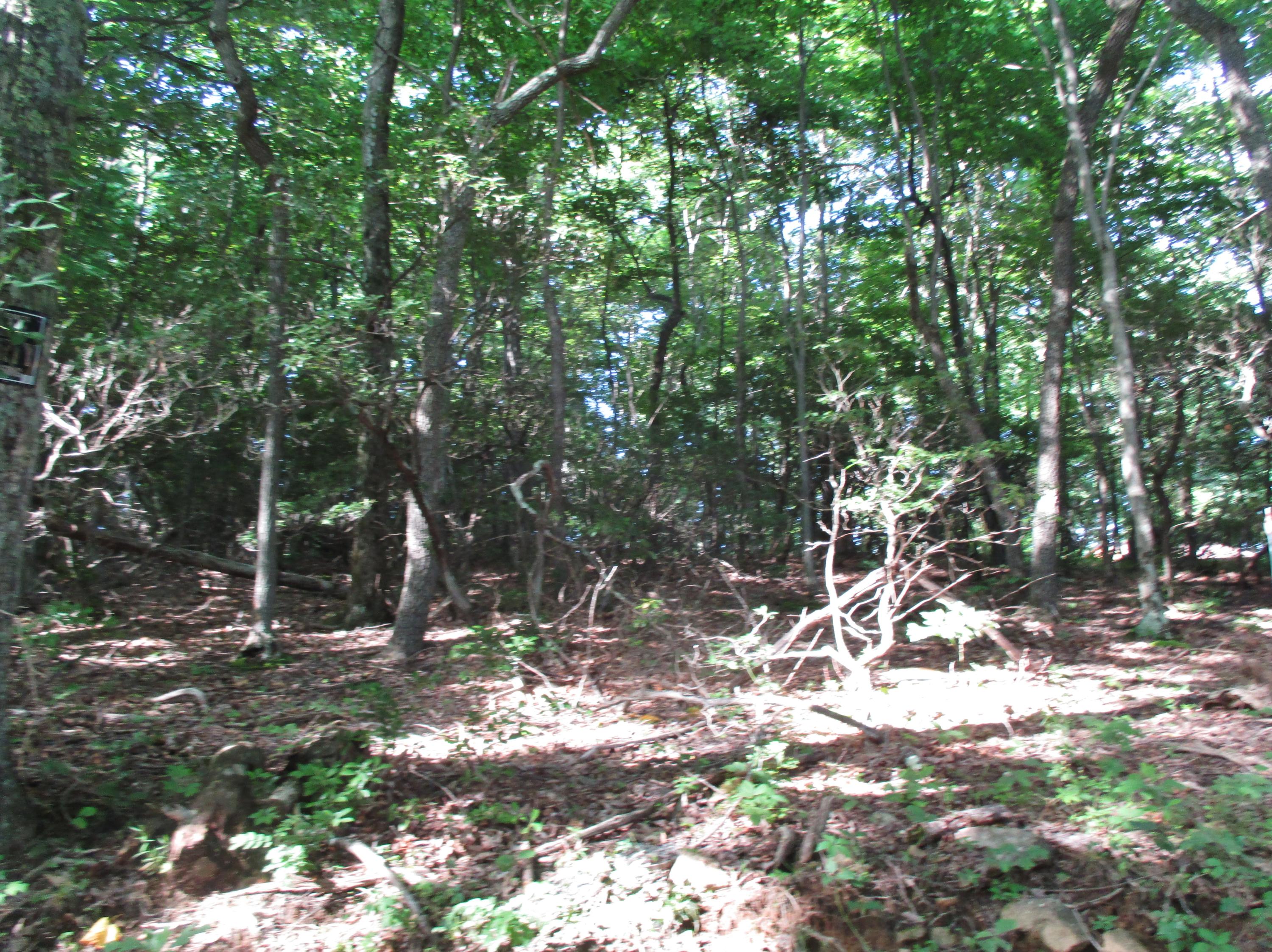 Lot 3 Fosters Knob Road Blue Ridge, VA 24064 - Photo 7 of 7 8
