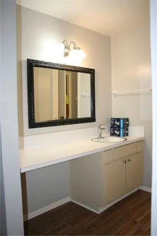 a bathroom with a sink and a mirror