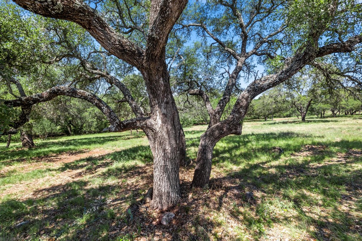 8002 Lachite Drive Horseshoe Bay, TX 78657 - Photo 23 of 33 Mature Oak trees throughout