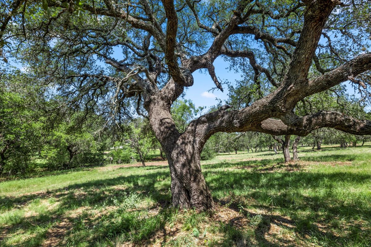 8002 Lachite Drive Horseshoe Bay, TX 78657 - Photo 24 of 33 Oaks provide shade