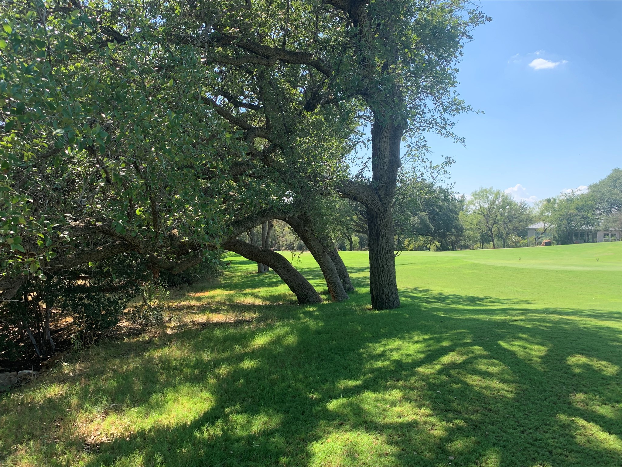 8002 Lachite Drive Horseshoe Bay, TX 78657 - Photo 28 of 33