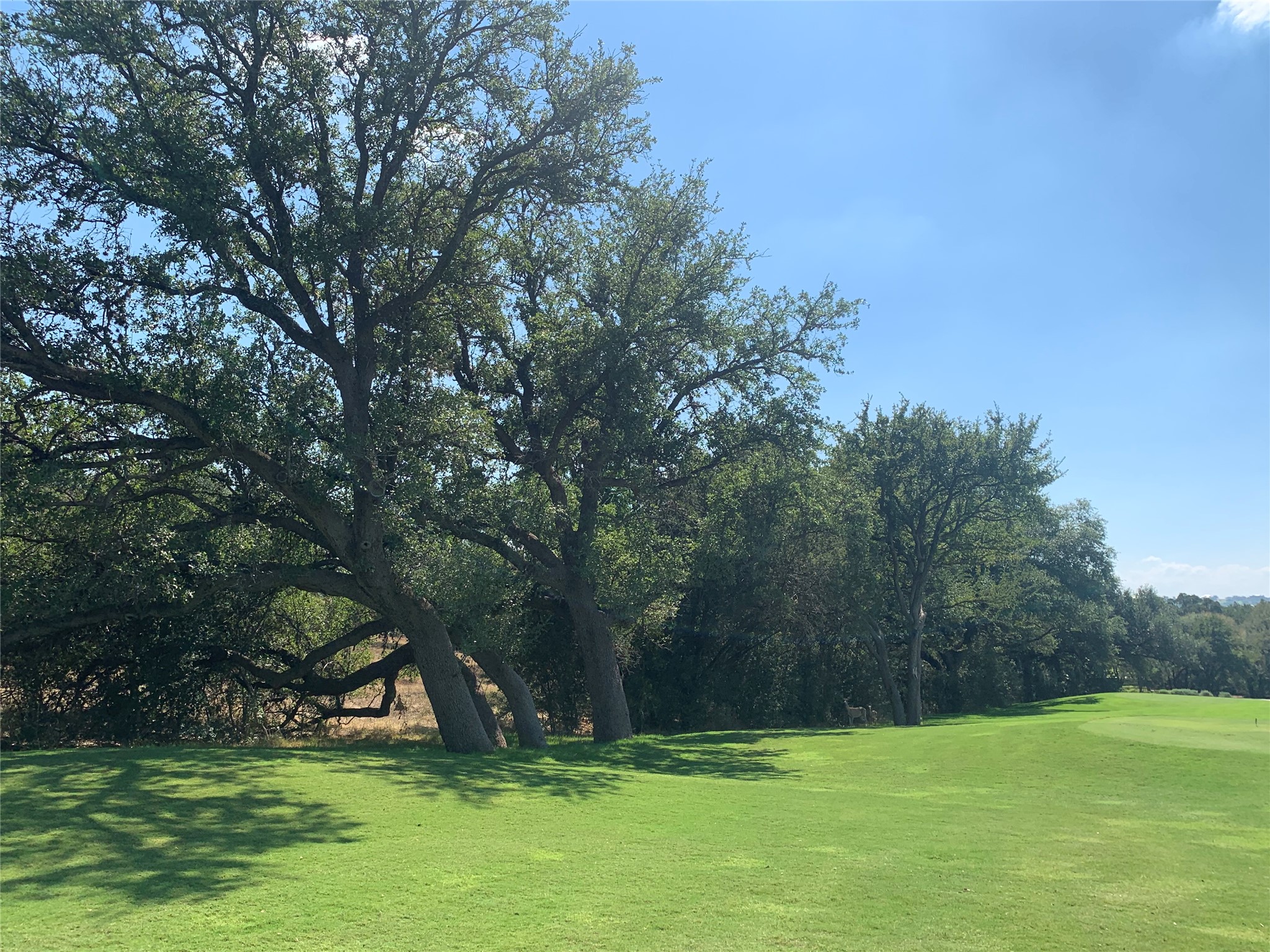 8002 Lachite Drive Horseshoe Bay, TX 78657 - Photo 29 of 33