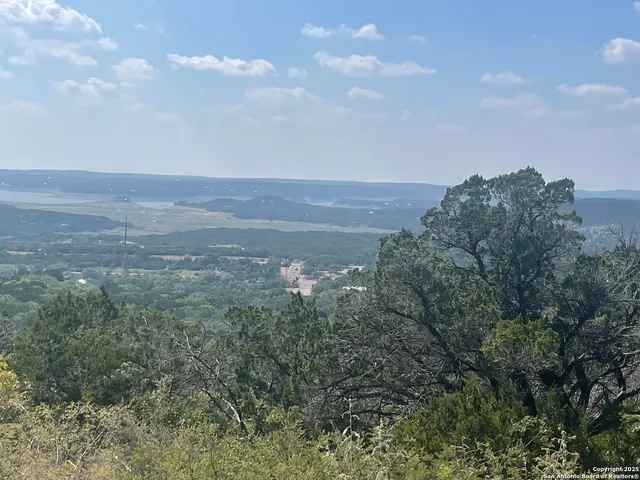 a view of a bunch of trees in a field