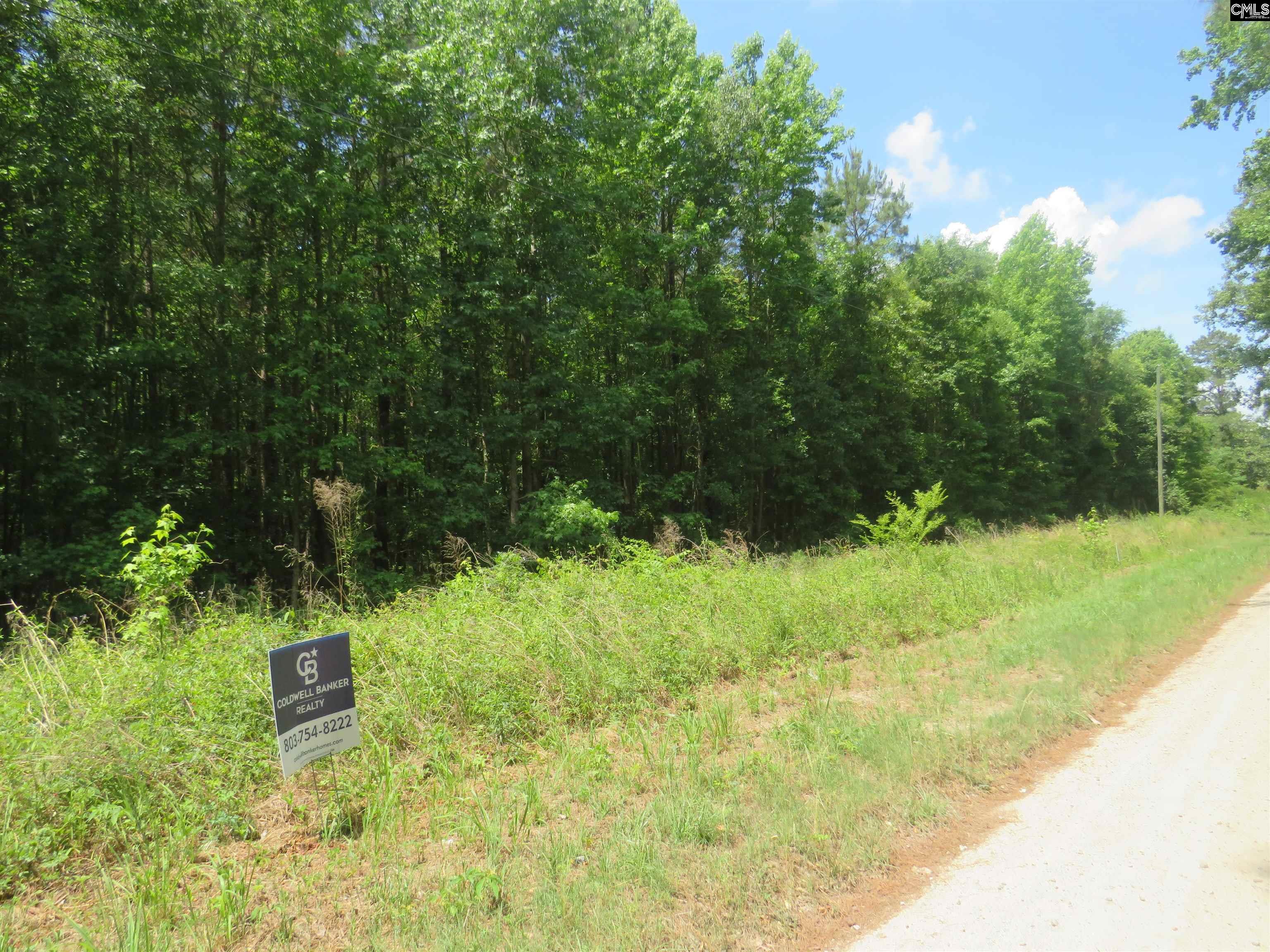 Old Eastover Road Eastover, SC 29044 - Photo 5 of 13